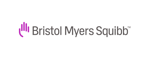 Sr. Director, Omnichannel Experience, Strategy & Planning, Bristol Myers Squibb 