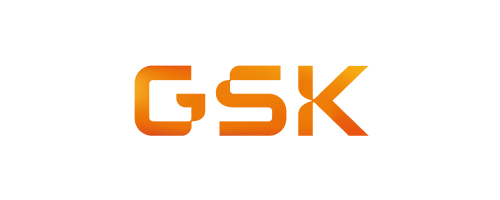 SVP, Commercial and Medical, Digital and Technology, GSK